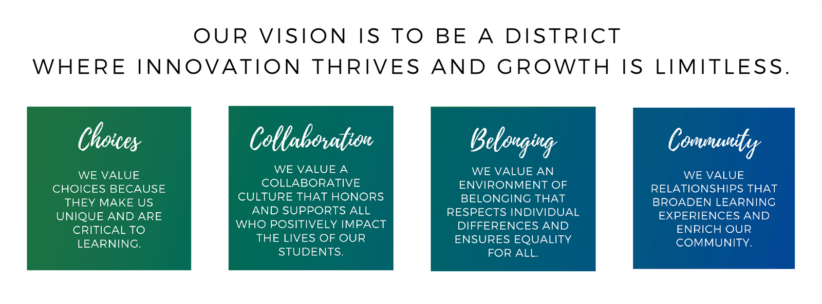 graphic describing district vision and values